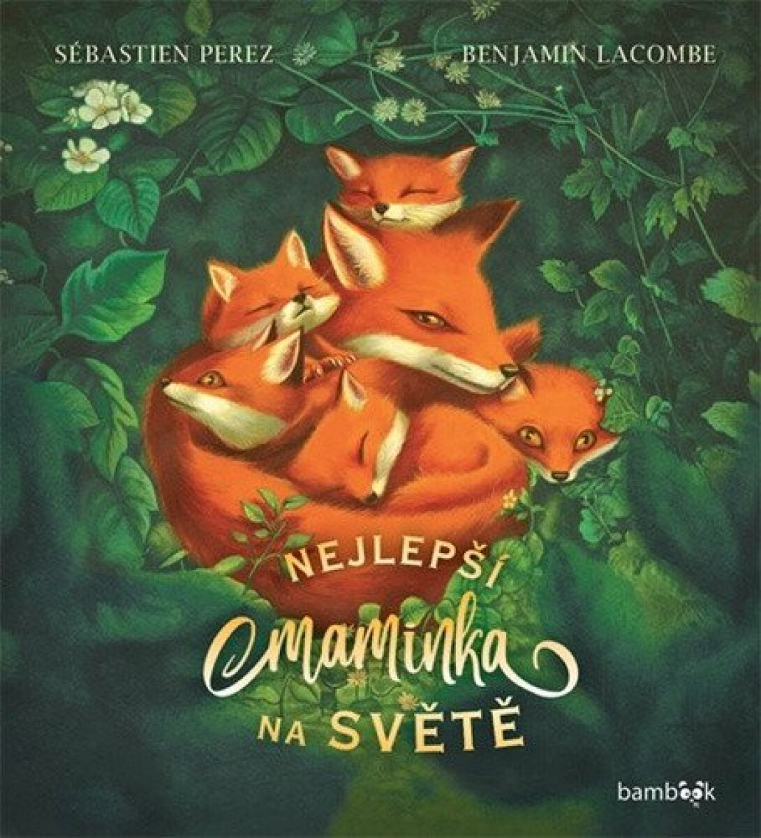 Nejlepší maminka na světě - Sébastien Perez, Benjamin Lacombe