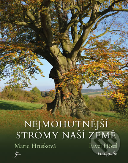Nejmohutnější stromy naší země