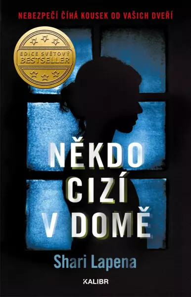 Někdo cizí v domě - Shari Lapena