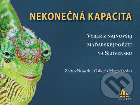 Nekonečná kapacita