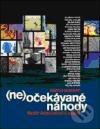 Neočekávané náhody (Třicet rozhovorů o umění)