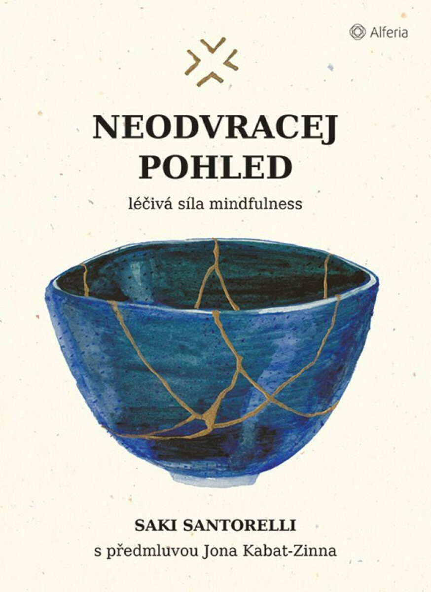 Neodvracej pohled - Léčivá síla mindfulness - Saki Santorelli