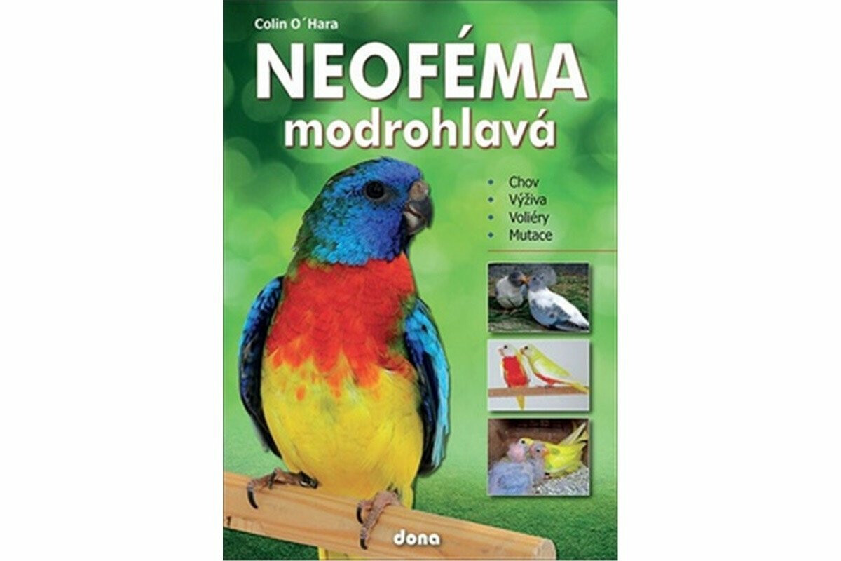 Neoféma modrohlavá - chovatelská příručka - Colin O'Hara