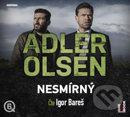 Nesmírný (audiokniha) (CD (mp3))