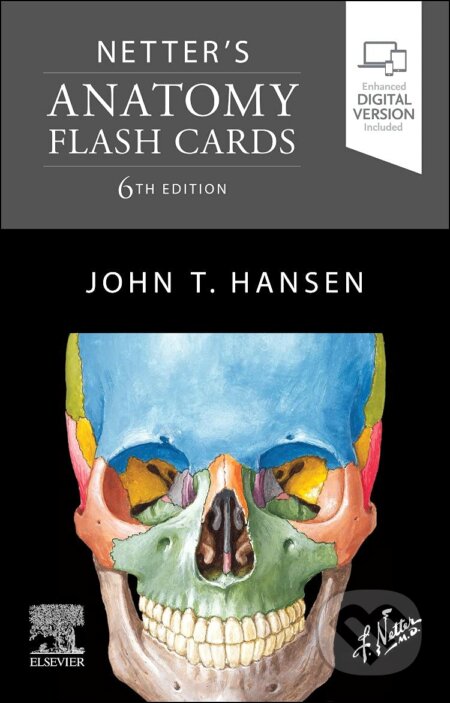 Netter´s anatomy flash cards