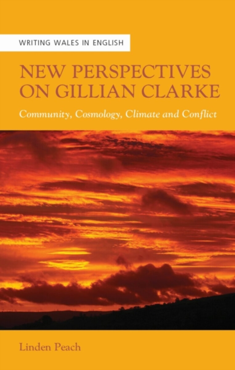 New Perspectives on Gillian Clarke