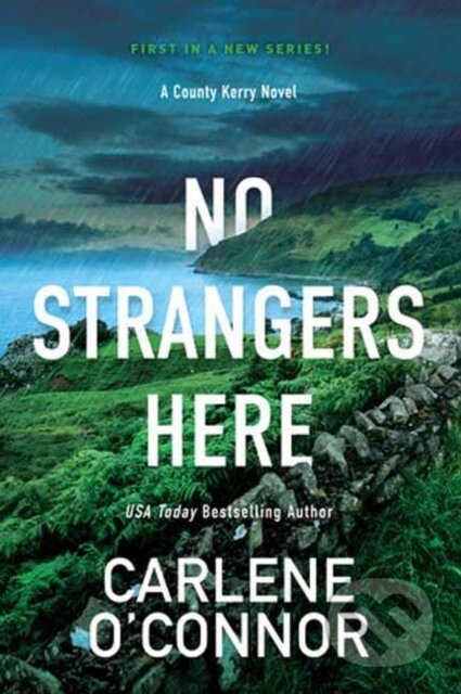 No Strangers Here (A Riveting Dark Irish Mystery)