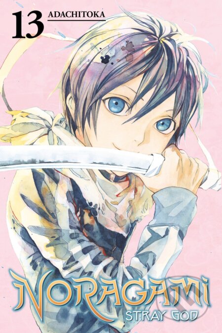 Noragami Volume 13 (Stray God)