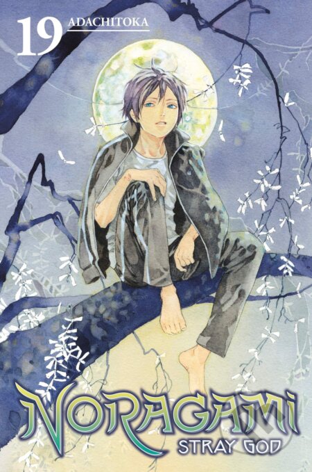 Noragami Volume 19 (Stray God)