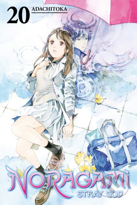 Noragami Volume 20 (Stray God)