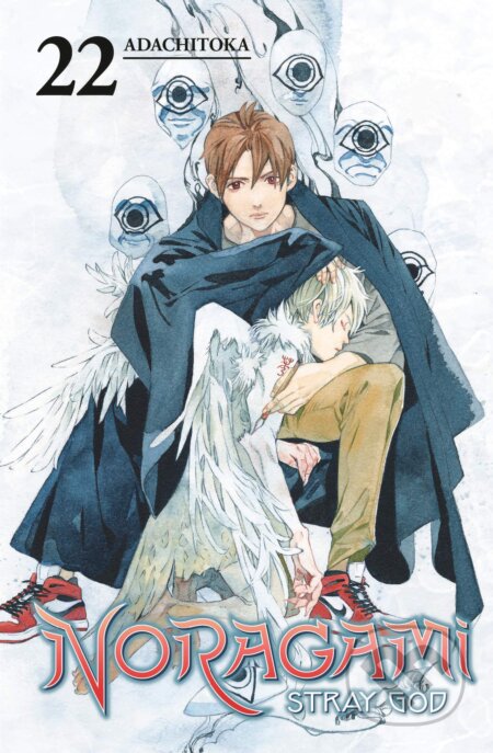 Noragami Volume 22 (Stray God)