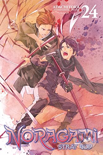 Noragami Volume 24 (Stray God)