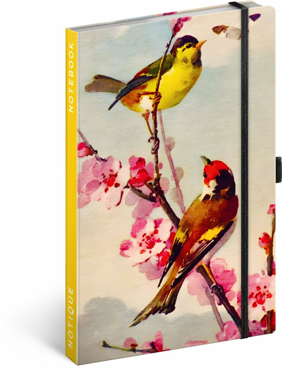 NOTIQUE Notes Ptáčci
