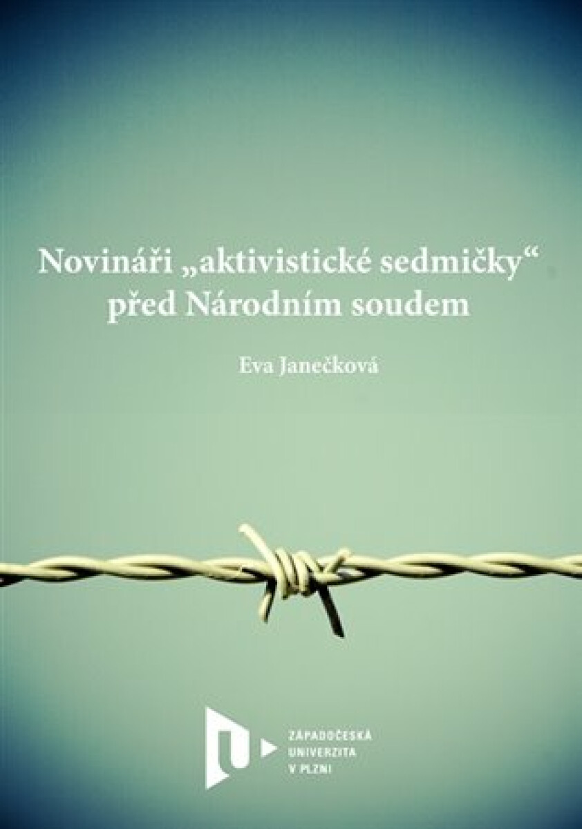 Novináři "aktivistické sedmičky" před Národním soudem