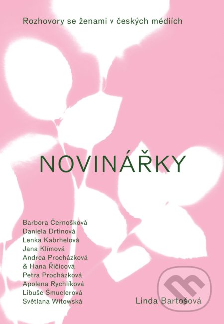 Novinářky (Rozhovory se ženami v českých médiích)