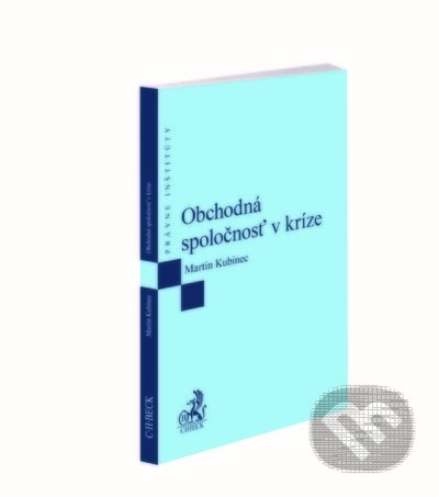 Obchodná spoločnosť v kríze