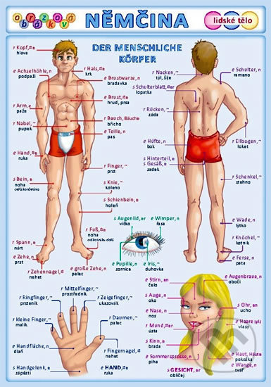 Obrázková němčina: Lidské tělo