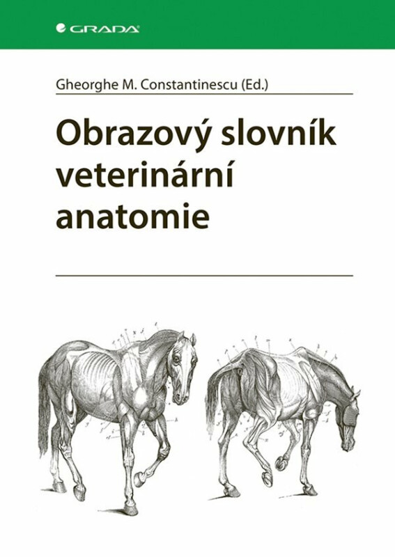 Obrazový slovník veterinární anatomie - Constantinescu M. Gheorghe