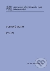 Ocelové mosty (Cvičení)
