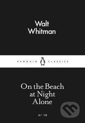 On the Beach at Night Alone