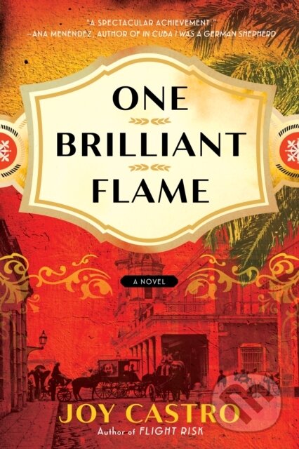 One Brilliant Flame (A Novel)