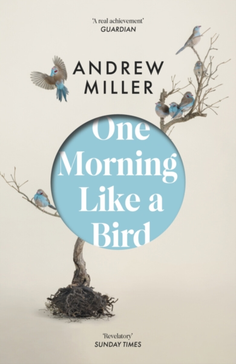 One Morning Like a Bird