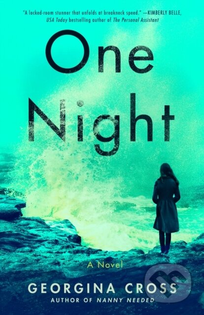 One Night (A Novel)
