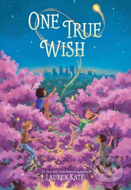 One True Wish
