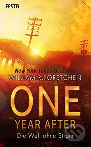 One Year After (Die Welt ohne Strom)