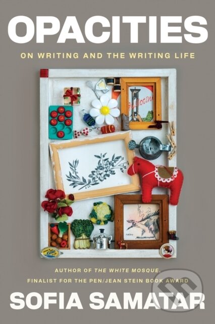 Opacities (On Writing and the Writing Life)