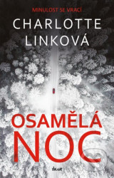 Osamělá noc
