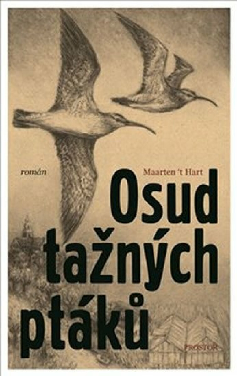 Osud tažných ptáků - Maarten ’t Hart, Andy Komárková