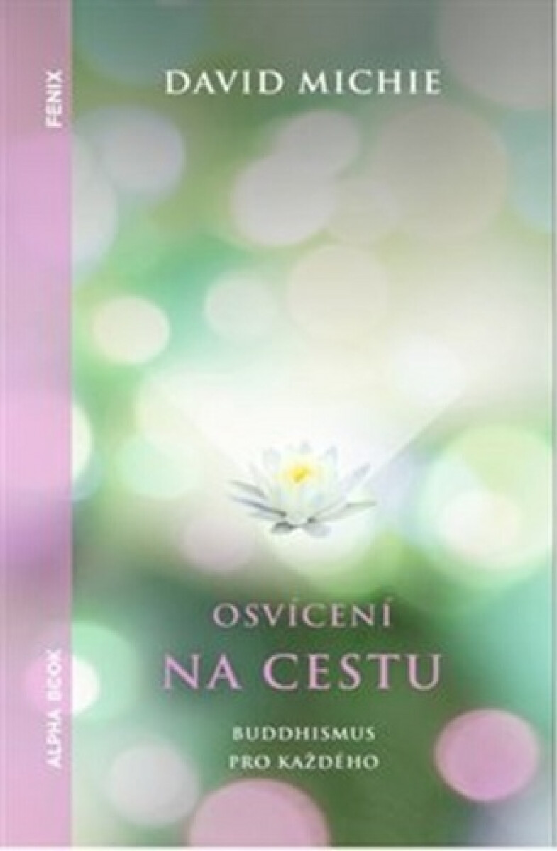Osvícení na cestu - David Michie