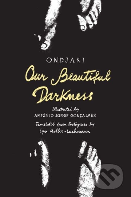 Our Beautiful Darkness (A Graphic Novel)