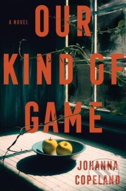 Our Kind of Game (A Novel)