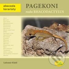 Pagekoni rodu Rhacodactylus