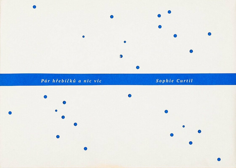 Pár hřebíčků a nic víc - Sophie Curtil