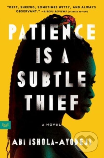 Patience Is a Subtle Thief (A Novel)