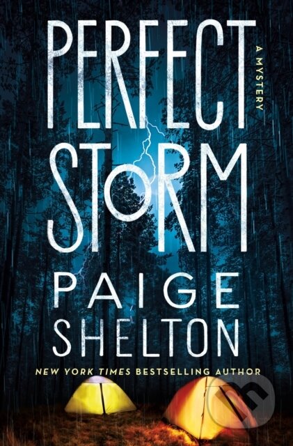 Perfect Storm (A Mystery)