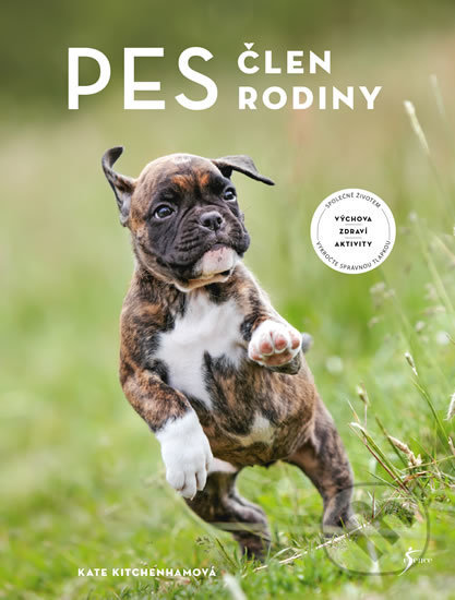 Pes – člen rodiny