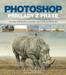 Photoshop příklady z praxe (Techniky retušování a montáží, tipy a triky profesionálů) - kniha z kategorie Škola fotografie