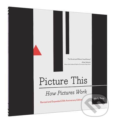 Picture This (How Pictures Work)