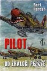 Pilot od žraločí perutě