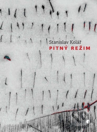 Pitný režim