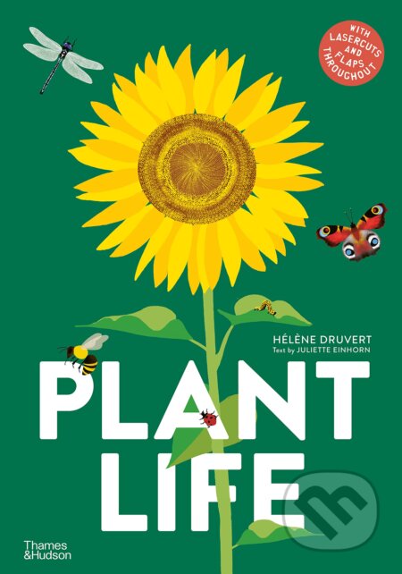 Plant Life
