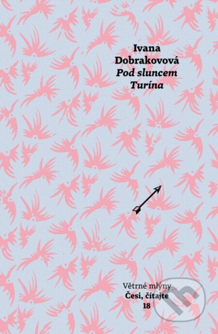 Pod sluncem Turína