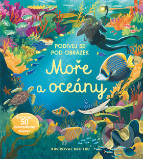 Podívej se pod obrázek: Moře a Oceány