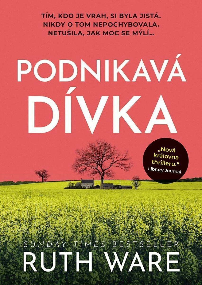 Podnikavá dívka - Ruth Ware
