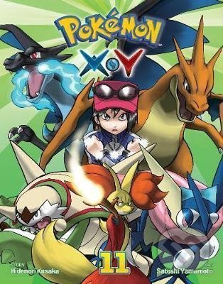 Pokemon X*Y 11