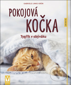 Pokojová kočka (Tygřík v obýváku)